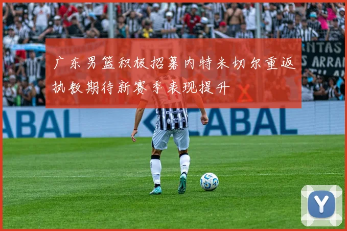 广东男篮积极招募内特米切尔重返执教期待新赛季表现提升