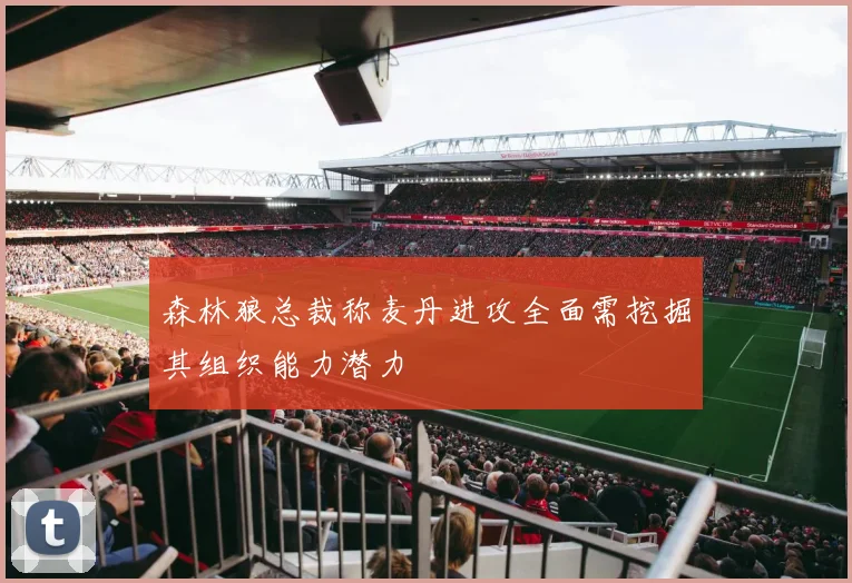 森林狼总裁称麦丹进攻全面需挖掘其组织能力潜力